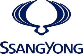 reshetki Ssang Yong kategorii