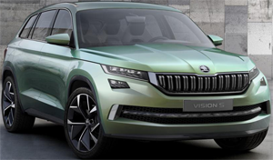 reshetki skoda kategorii